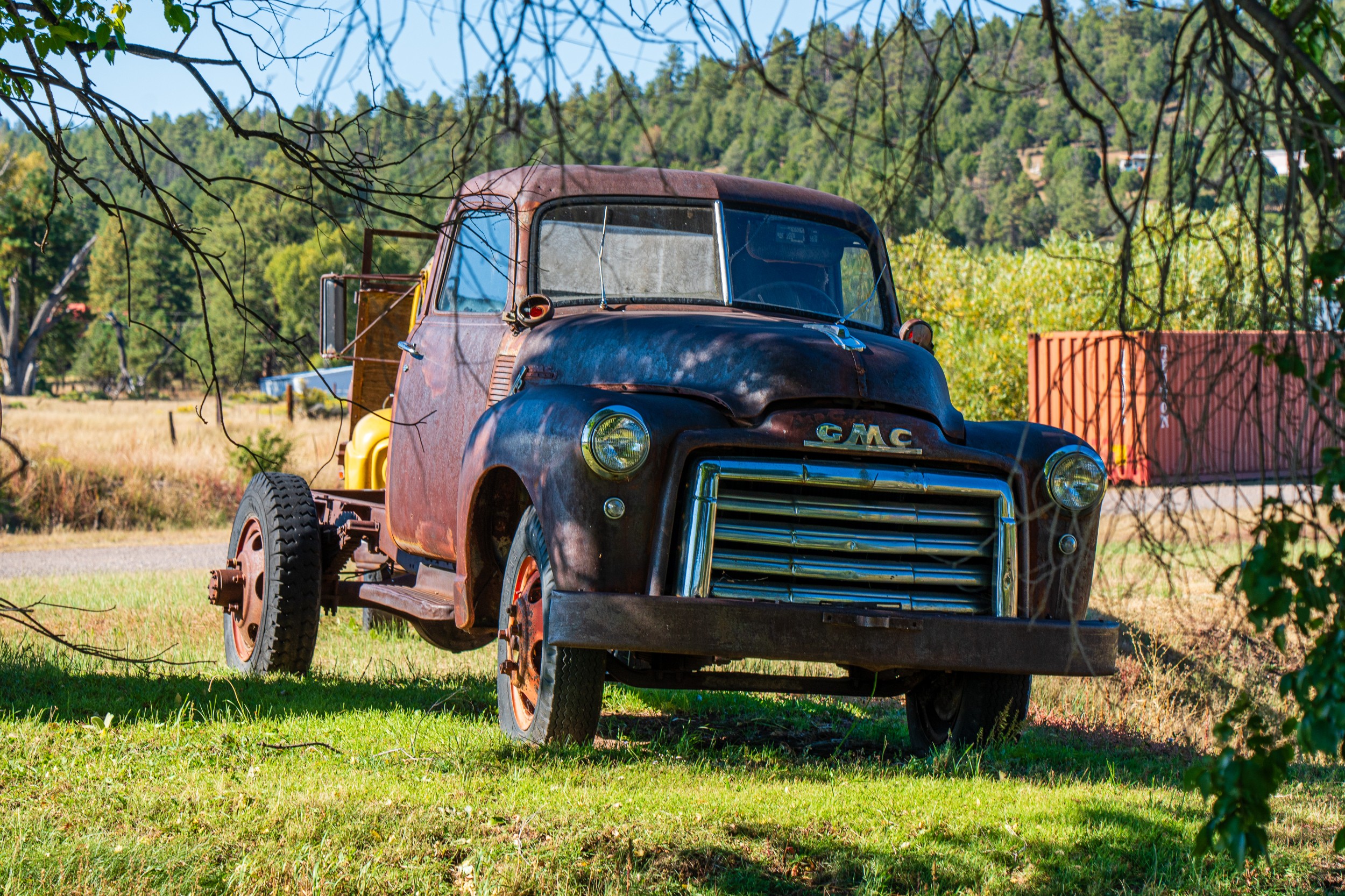 USA 2024 5 Sterne 75